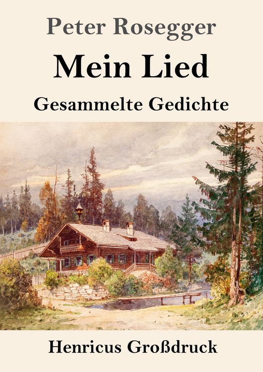 Produktbild: Mein Lied (Gro&szlig;druck)