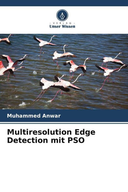 Produktbild: Multiresolution Edge Detection mit PSO