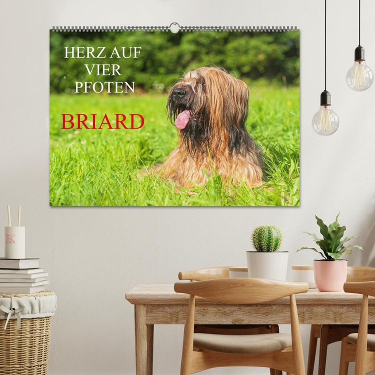 Produktbild: Herz auf vier Pfoten - Briard (Wandkalender 2026 DIN A2 quer), CALVENDO Monatskalender