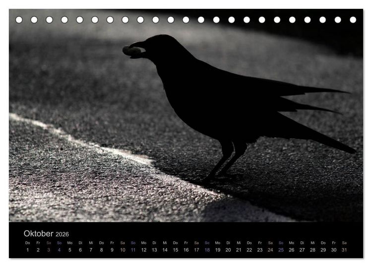Produktbild: Rabenschwarze Impressionen - meike-ajo-dettlaff.de via wildvogelhlfe.org (Tischkalender 2026 DIN A5 quer), CALVENDO Monatskalender