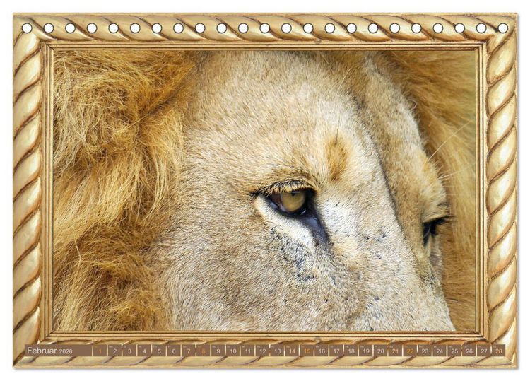 Produktbild: Augenblicke aus Afrika (Tischkalender 2026 DIN A5 quer), CALVENDO Monatskalender