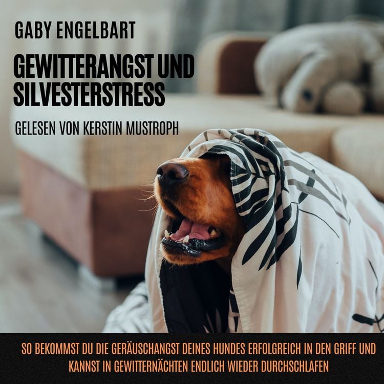 Produktbild: Gewitterangst und Silvesterstress: So bekommst du die Ger&auml;uschangst deines Hundes erfolgreich in den Griff und kannst in Gewittern&auml;chten endlich wieder durchschlafen.