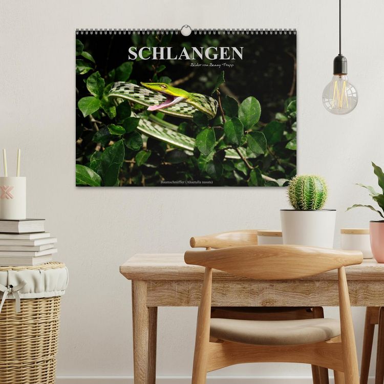 Produktbild: Schlangen (Wandkalender 2026 DIN A3 quer), CALVENDO Monatskalender