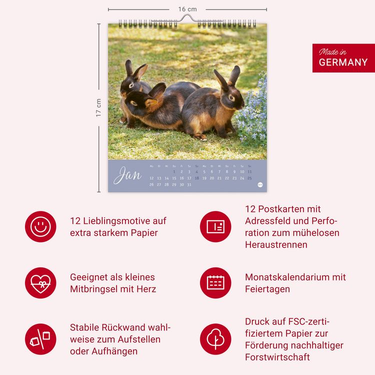 Produktbild: S&uuml;&szlig;e Kaninchen Postkartenkalender 2026