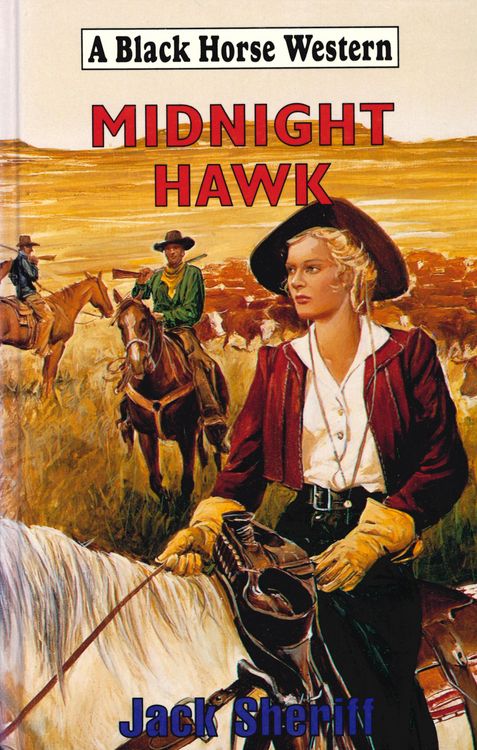 Produktbild: Midnight Hawk