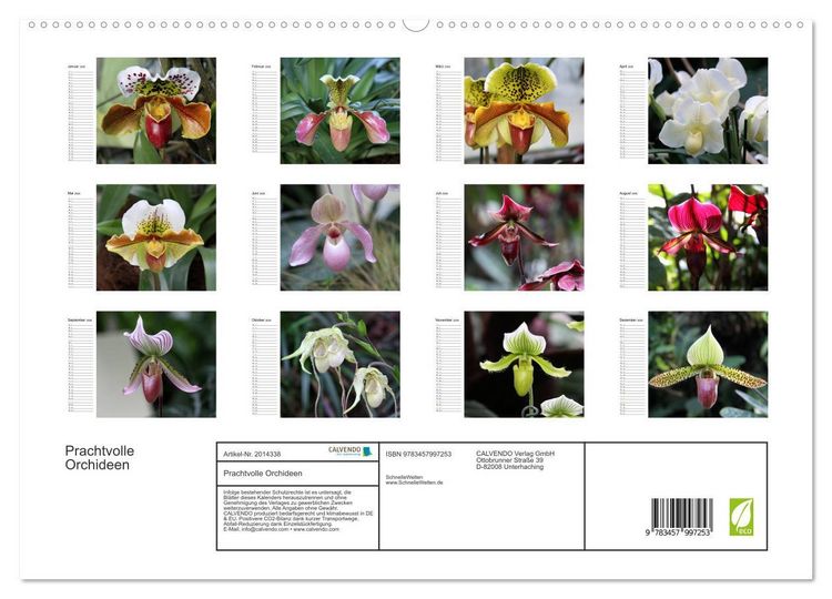Produktbild: Prachtvolle Orchideen (hochwertiger Premium Wandkalender 2026 DIN A2 quer), Kunstdruck in Hochglanz