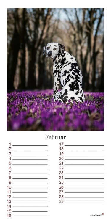 Produktbild: Geburtstagskalender Hunde