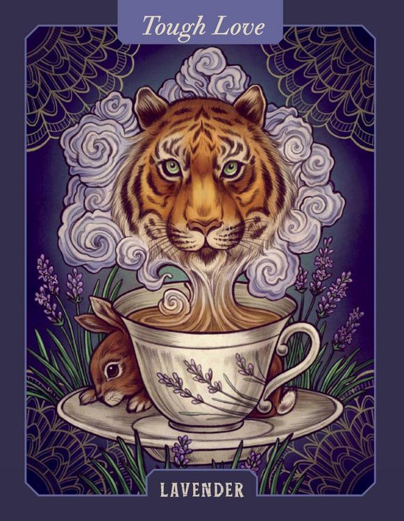 Produktbild: Illustrated Herbiary Oracle Cards