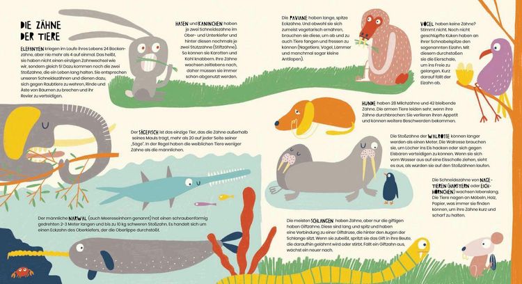 Produktbild: Vom Tyrannosaurus zum Huhn