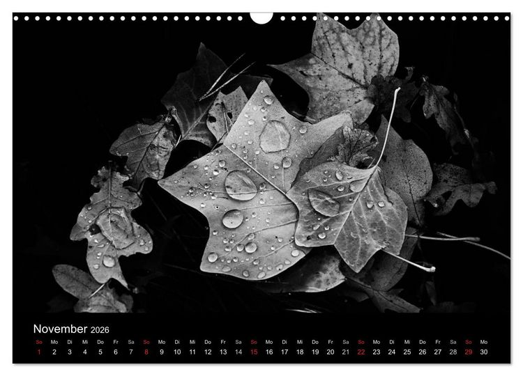 Produktbild: Das Licht in Schwarz und Wei&szlig; (Wandkalender 2026 DIN A3 quer), CALVENDO Monatskalender