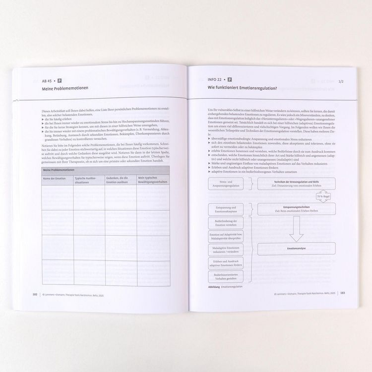 Produktbild: Therapie-Tools Narzissmus