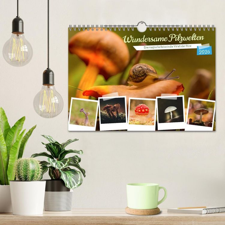 Produktbild: Wundersame Pilzwelten (Wandkalender 2026 DIN A4 quer), CALVENDO Monatskalender