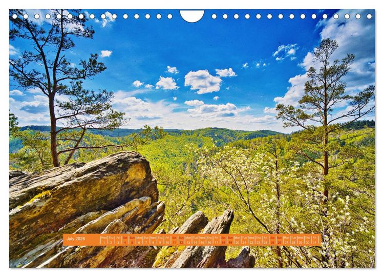 Produktbild: Unique Thuringian Forest (Wall Calendar 2026 DIN A4 landscape), CALVENDO 12 Month Wall Calendar