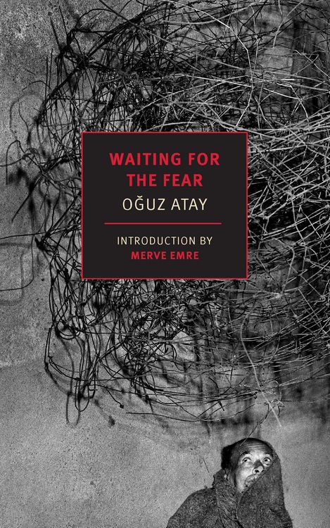 Produktbild: Waiting for the Fear