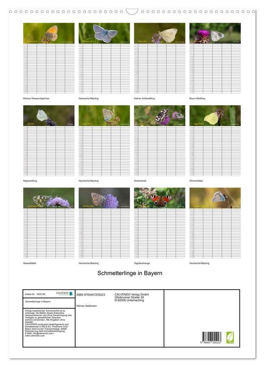 Produktbild: Schmetterlinge in Bayern (Wandkalender 2026 DIN A2 hoch), CALVENDO Monatskalender
