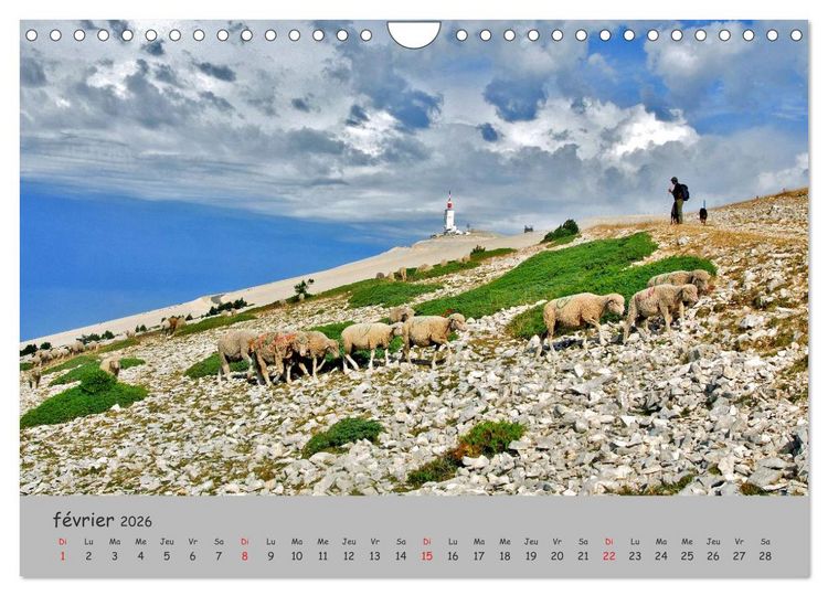 Produktbild: Le Mont Ventoux Le g&eacute;ant de Provence (Calendrier mural 2026 DIN A4 vertical), CALVENDO calendrier mensuel