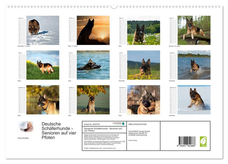 Produktbild: Deutsche Sch&auml;ferhunde - Senioren auf vier Pfoten (hochwertiger Premium Wandkalender 2026 DIN A2 quer), Kunstdruck in Hochglanz