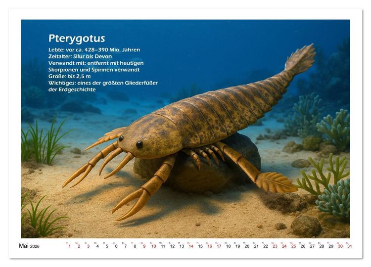 Produktbild: Urige Meerestiere pr&auml;historisch und seltsam (Wandkalender 2026 DIN A3 quer), CALVENDO Monatskalender