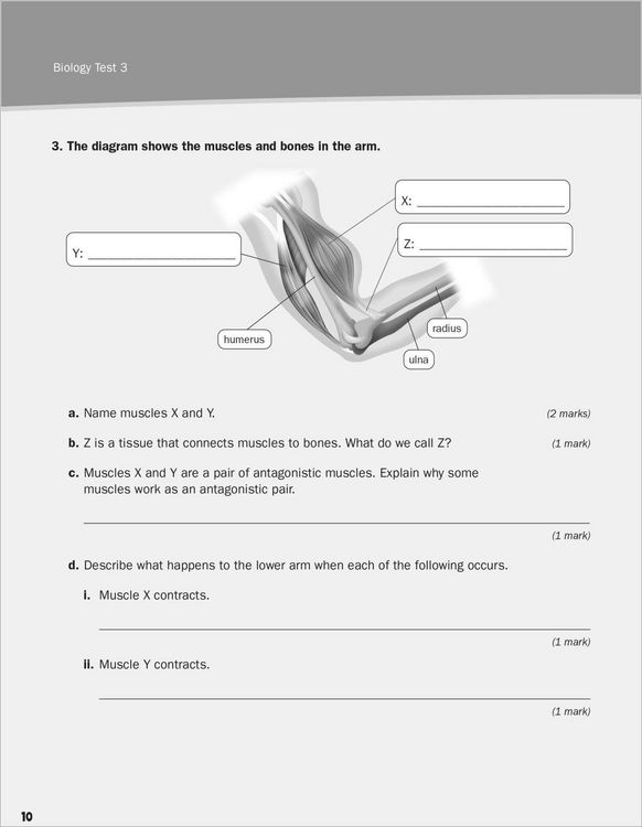 Produktbild: KS3 Science 10-Minute Tests Years 7-9 with answers.