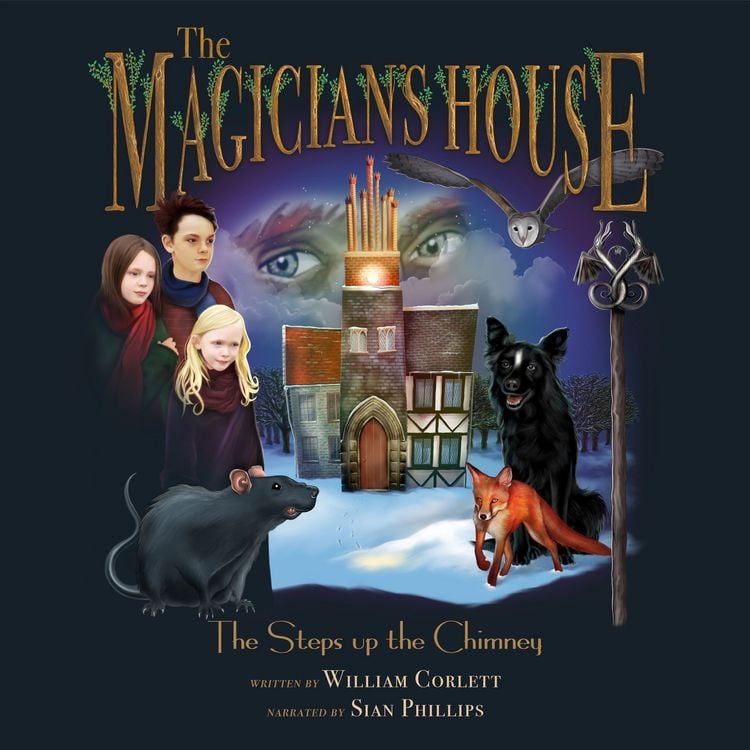 Produktbild: The Magician's House: Steps Up the Chimney