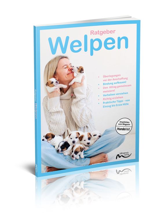Produktbild: Ratgeber Welpen