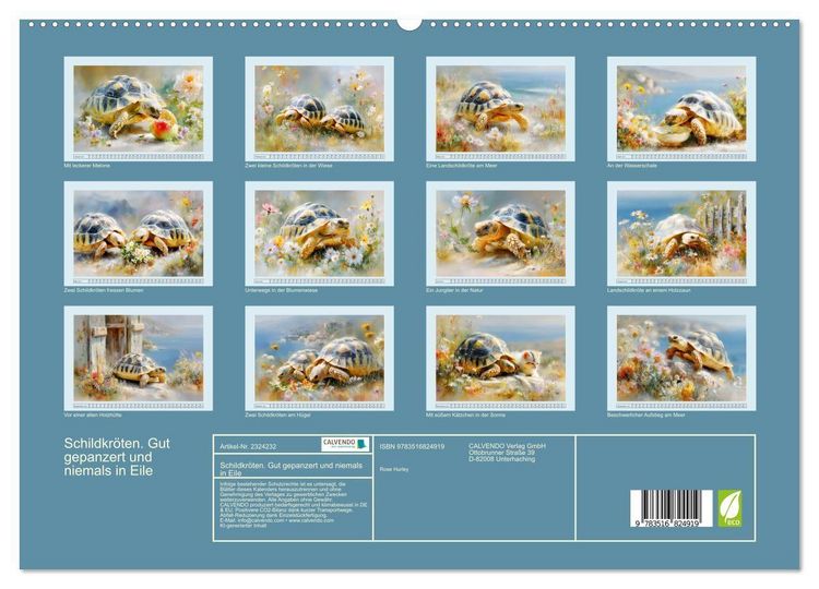 Produktbild: Schildkr&ouml;ten. Gut gepanzert und niemals in Eile (hochwertiger Premium Wandkalender 2027 DIN A2 quer), Kunstdruck in Hochglanz