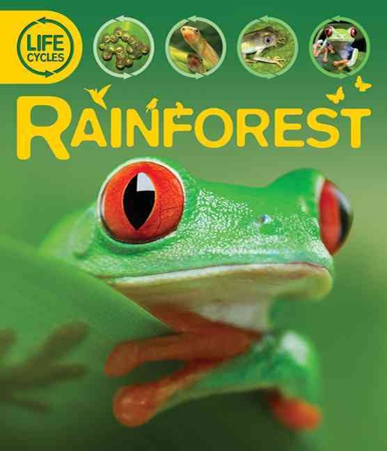 Produktbild: Rainforest