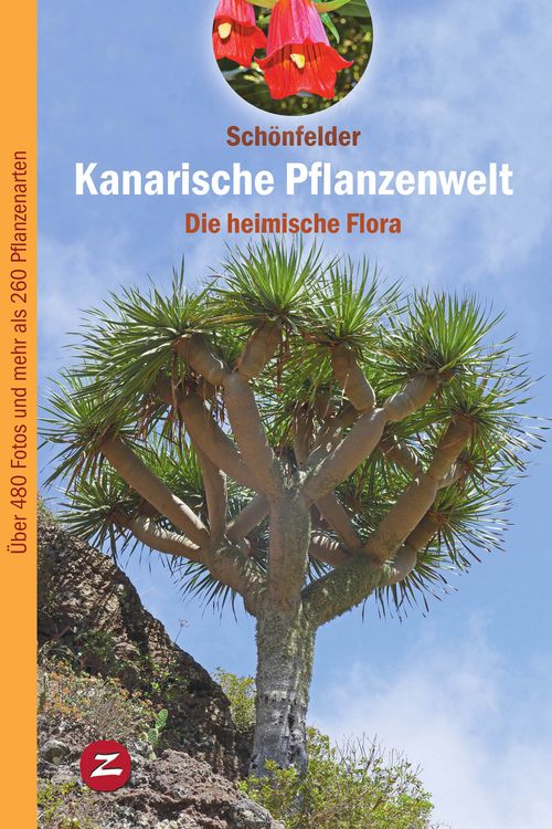 Produktbild: Kanarische Pflanzenwelt
