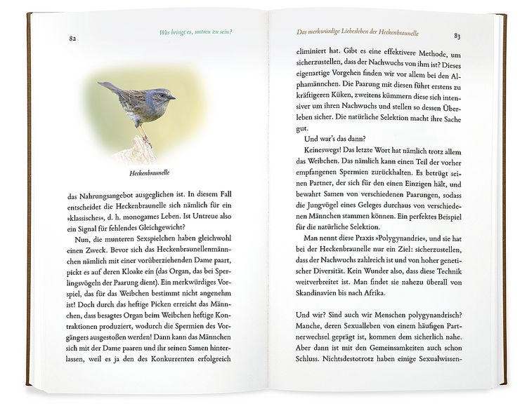 Produktbild: Kleine Philosophie der V&ouml;gel