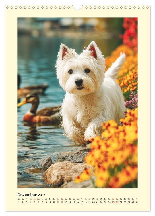 Produktbild: S&uuml;&szlig;er Wuschelkopf. West Highland White Terrier Momente (Wandkalender 2027 DIN A3 hoch), CALVENDO Monatskalender