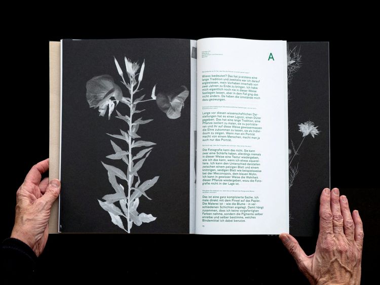 Produktbild: BLUMENLESE