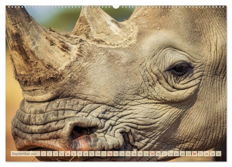Produktbild: Die Augen der Wildnis (hochwertiger Premium Wandkalender 2027 DIN A2 quer), Kunstdruck in Hochglanz