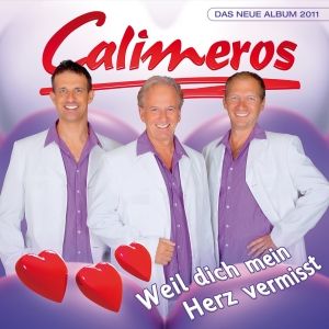 Produktbild: Weil dich mein Herz vermisst