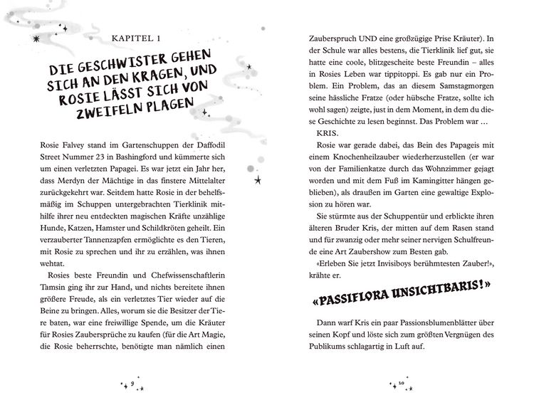 Produktbild: Merdyns magische Missgeschicke - Die Rache des Vandalen