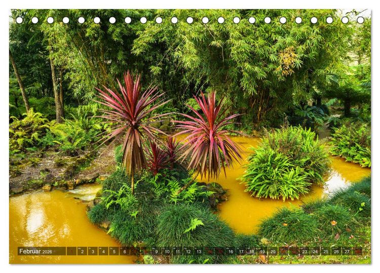 Produktbild: Terra Nostra Garten - ein botanisches Juwel auf den Azoren (Tischkalender 2026 DIN A5 quer), CALVENDO Monatskalender