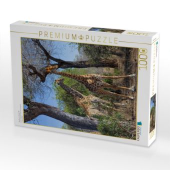 Produktbild: CALVENDO Puzzle Giraffen im Kr&uuml;ger NP | 1000 Teile Lege-Gr&ouml;&szlig;e 64x48cm Foto-Puzzle f&uuml;r gl&uuml;ckliche Stunden