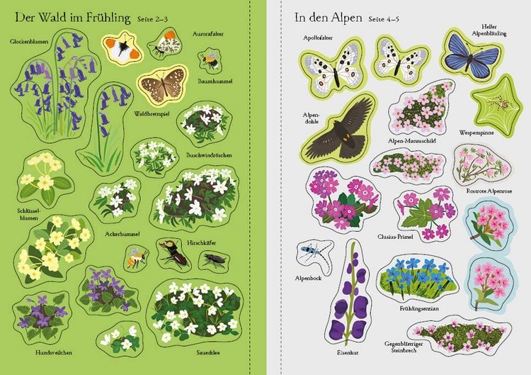 Produktbild: Mein Immer-wieder-Stickerbuch: Wildblumen