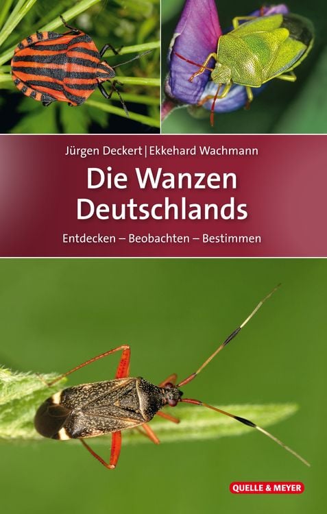 Produktbild: Die Wanzen Deutschlands