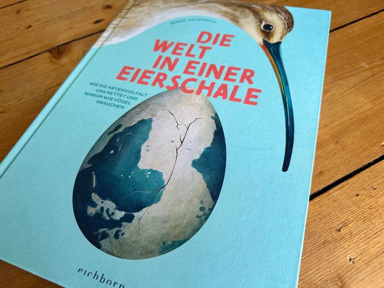 Produktbild: Die Welt in einer Eierschale