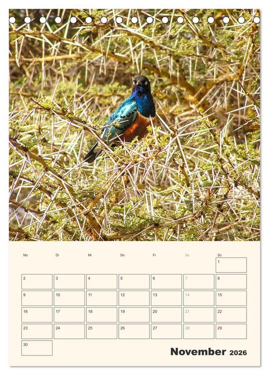Produktbild: Kenia &ndash; Terminplaner (Tischkalender 2026 DIN A5 hoch), CALVENDO Monatskalender