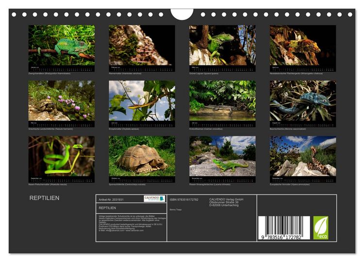 Produktbild: REPTILIEN (Wandkalender 2026 DIN A4 quer), CALVENDO Monatskalender