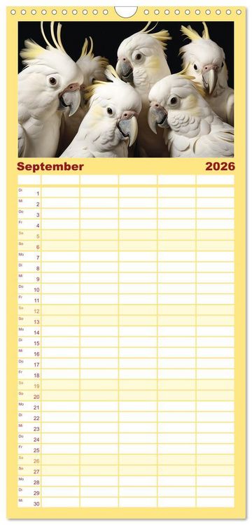 Produktbild: Familienplaner 2026 - Die Magie der Masse mit 5 Spalten (Wandkalender, 21 x 45 cm) CALVENDO