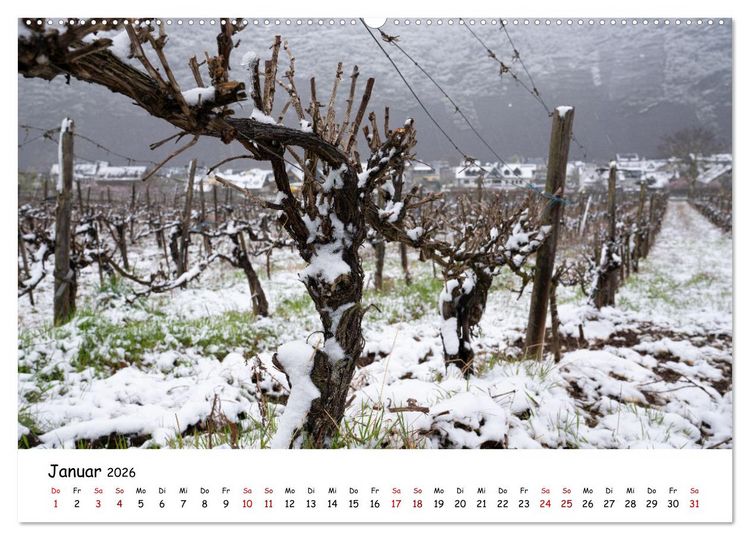 Produktbild: Heimat Entdecken - Die Mosel (hochwertiger Premium Wandkalender 2026 DIN A2 quer), Kunstdruck in Hochglanz