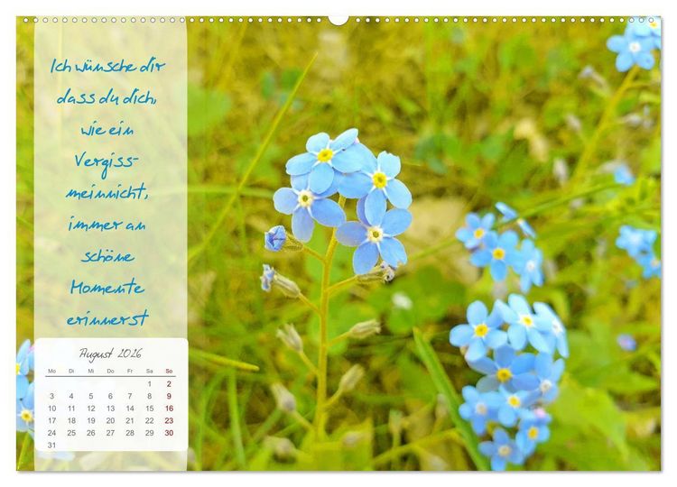 Produktbild: Bl&uuml;hende Herzensw&uuml;nsche f&uuml;r Dich! (Wandkalender 2026 DIN A2 quer), CALVENDO Monatskalender