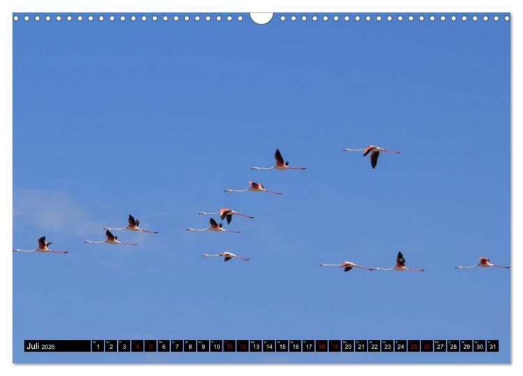 Produktbild: Faszination Sardinien (Wandkalender 2026 DIN A3 quer), CALVENDO Monatskalender