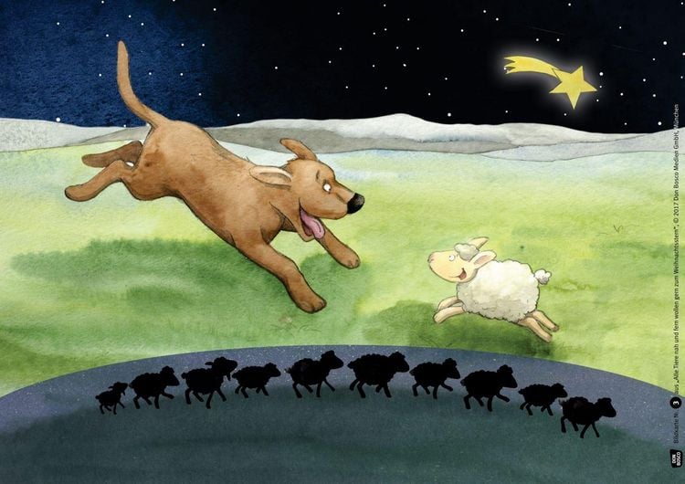 Produktbild: Alle Tiere nah und fern wollen gern zum Weihnachtsstern. Adventskalender