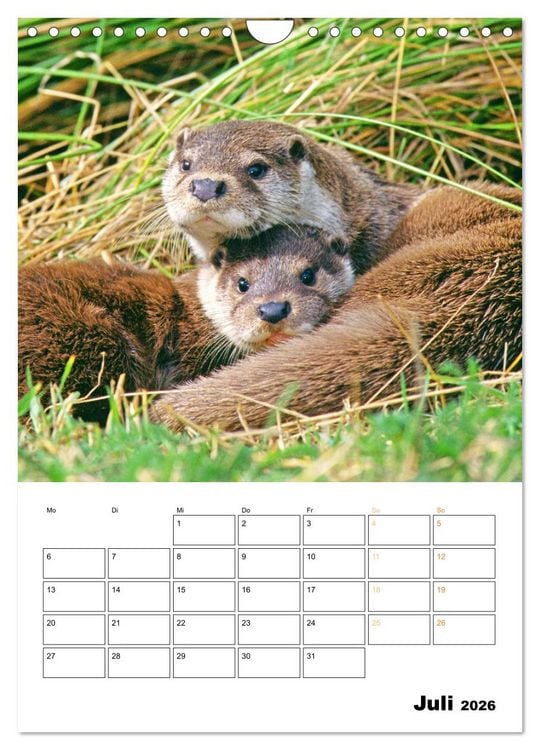 Produktbild: Wilde Tiere: Zuhause in Wald und Flur (Wandkalender 2026 DIN A4 hoch), CALVENDO Monatskalender