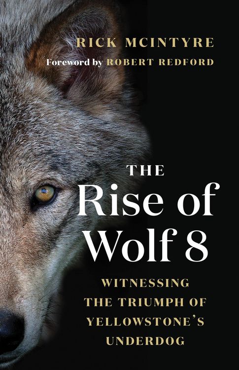 Produktbild: The Rise of Wolf 8