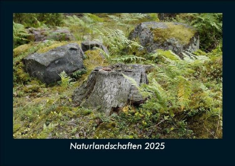 Produktbild: Naturlandschaften 2025 Fotokalender DIN A5