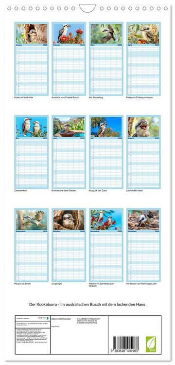 Produktbild: Familienplaner 2026 - Der Kookaburra - Im australischen Busch mit dem lachenden Hans mit 5 Spalten (Wandkalender, 21 x 45 cm) CALVENDO